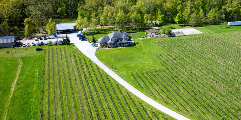 2025 Ariel View Photo Muscedere Vineyards