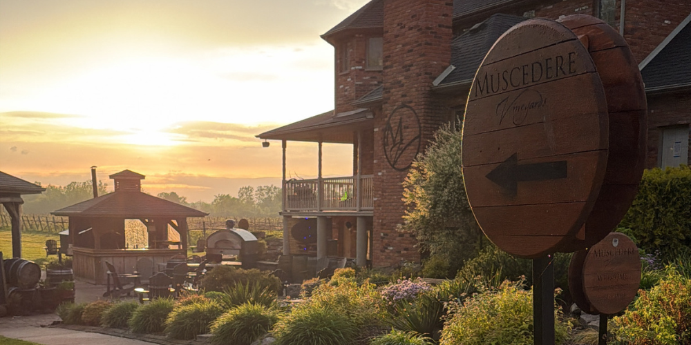 Muscedere Vineyards 2026